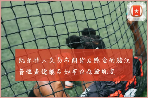 凯尔特人交易布朗背后隐含的赌注普理查德能否如布伦森般蜕变
