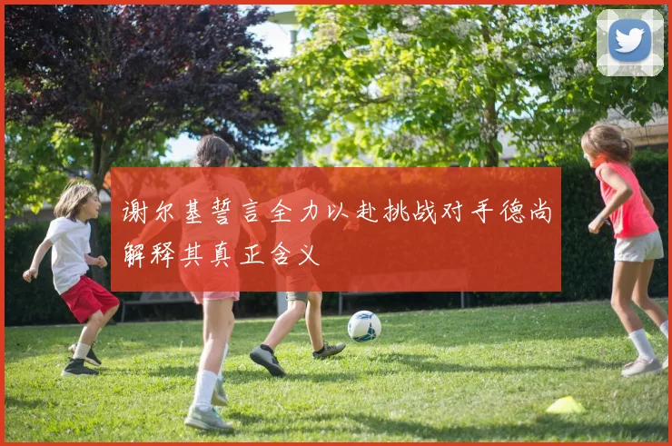谢尔基誓言全力以赴挑战对手德尚解释其真正含义
